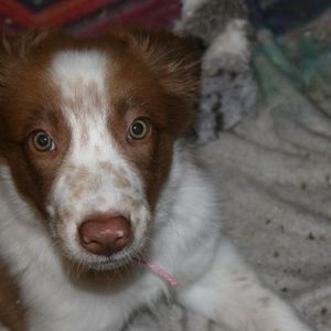 Meet your Posher, Detlev